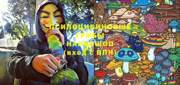 стаф Алексеевка