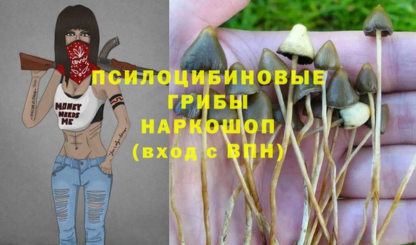 метамфетамин Алексин